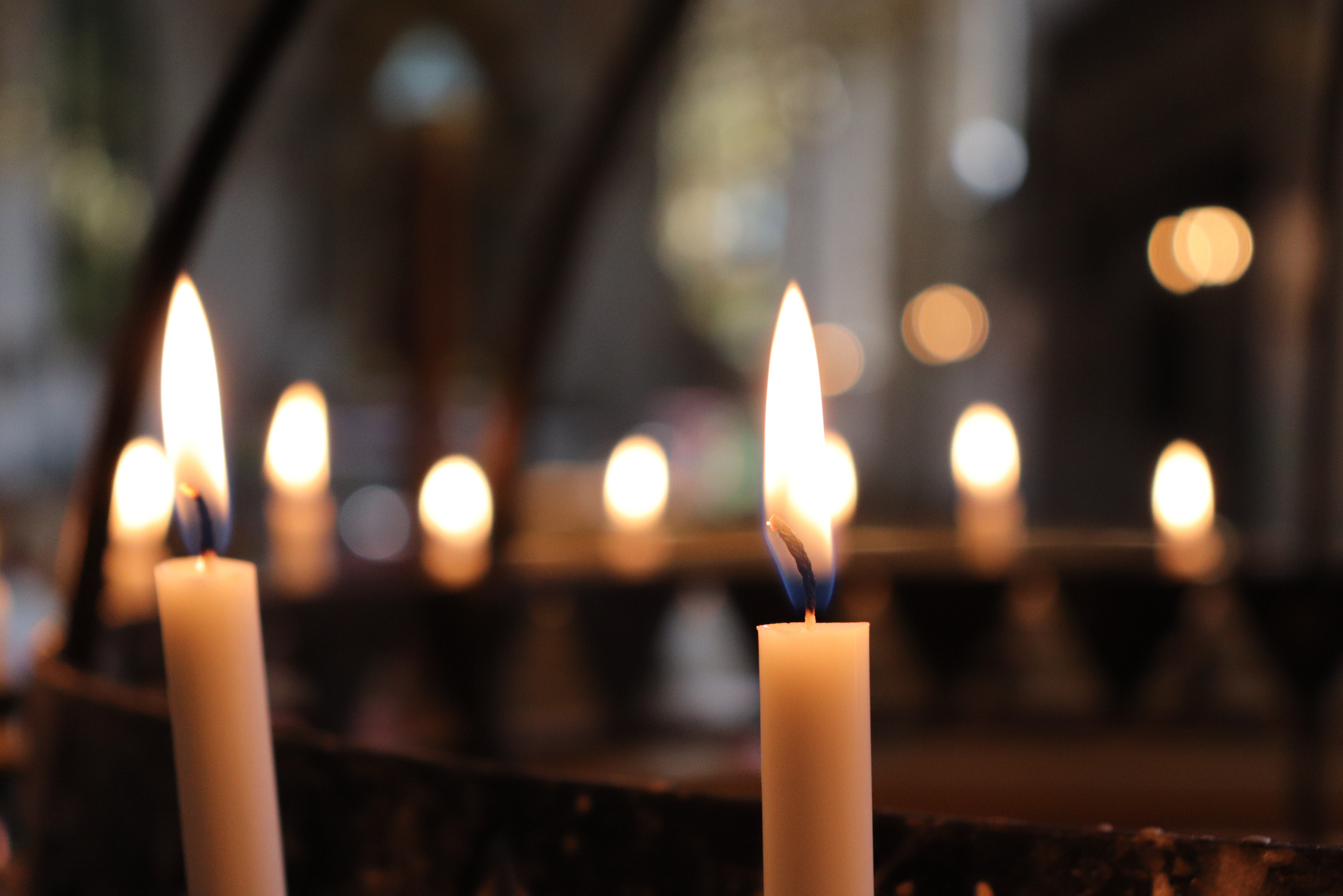 In Memoriam: A Tribute to Dr. David Gustafson